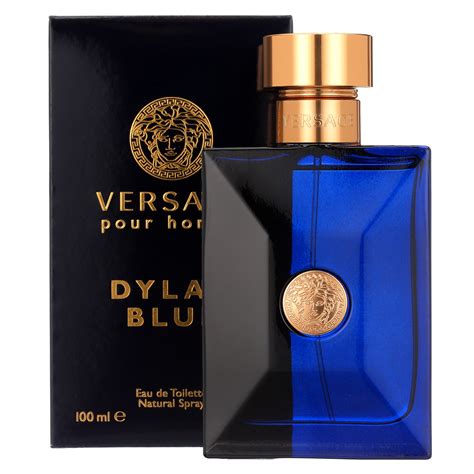 versace dylan blue 3.4.